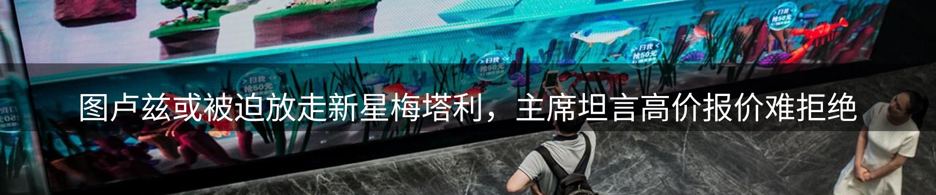 网站资讯