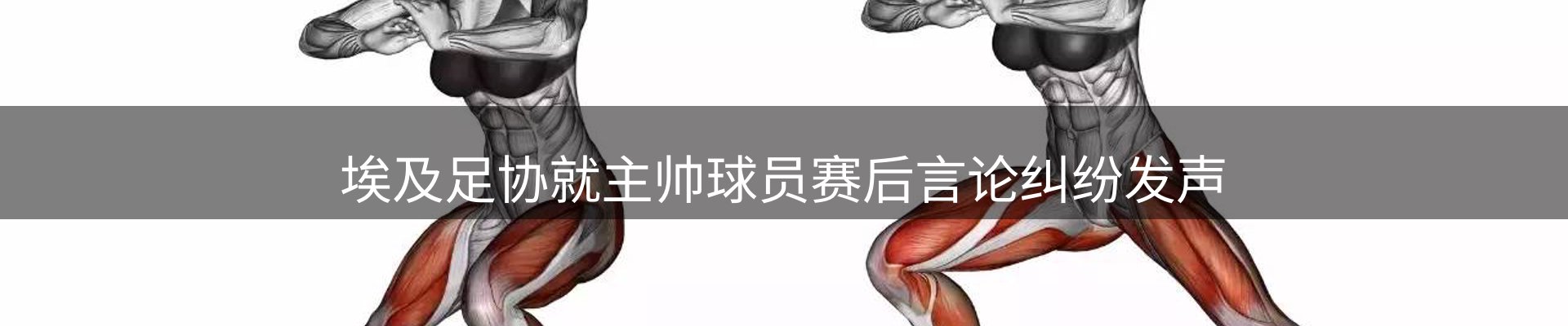 网站资讯