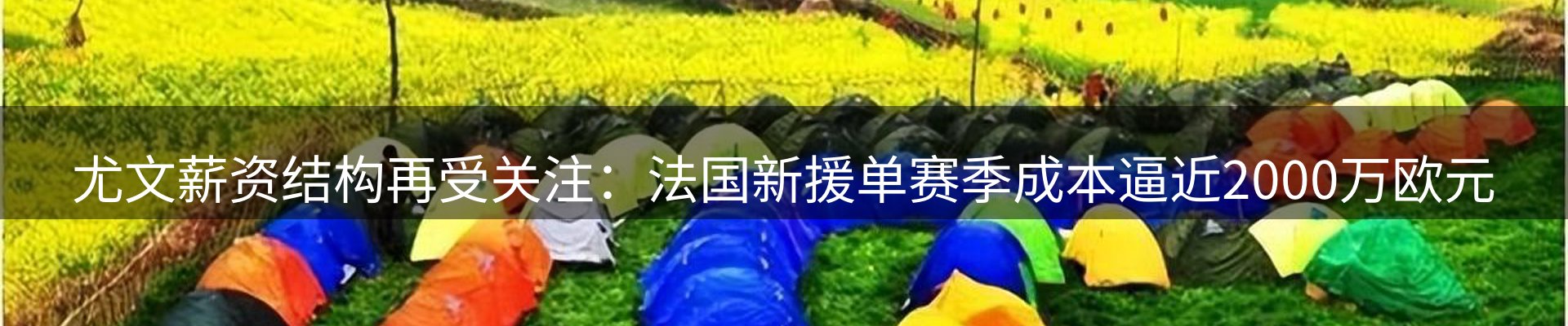 网站资讯