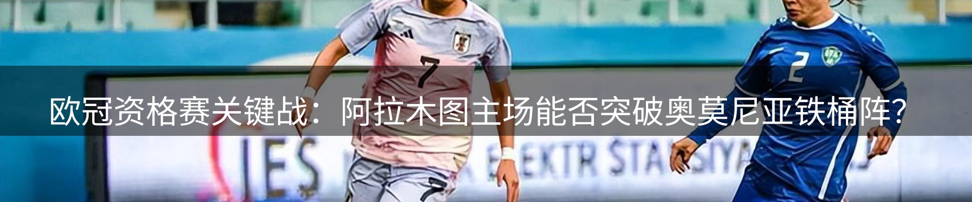 网站资讯