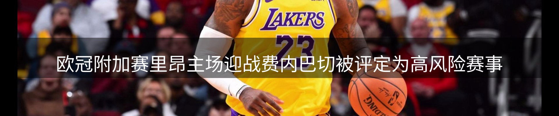 网站资讯