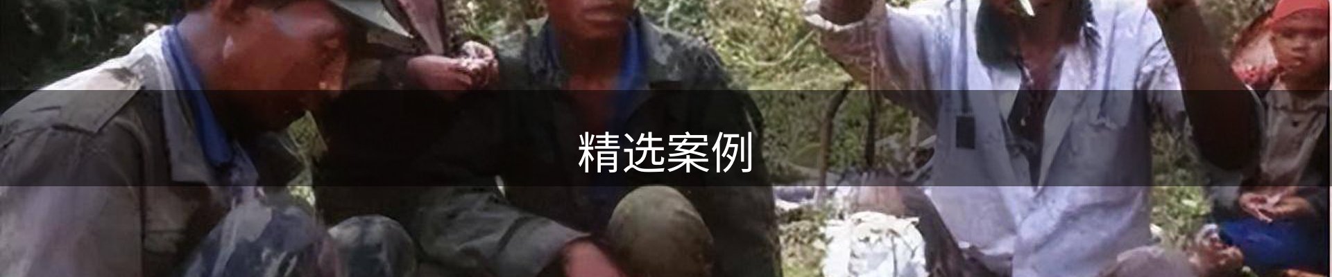 精选案例