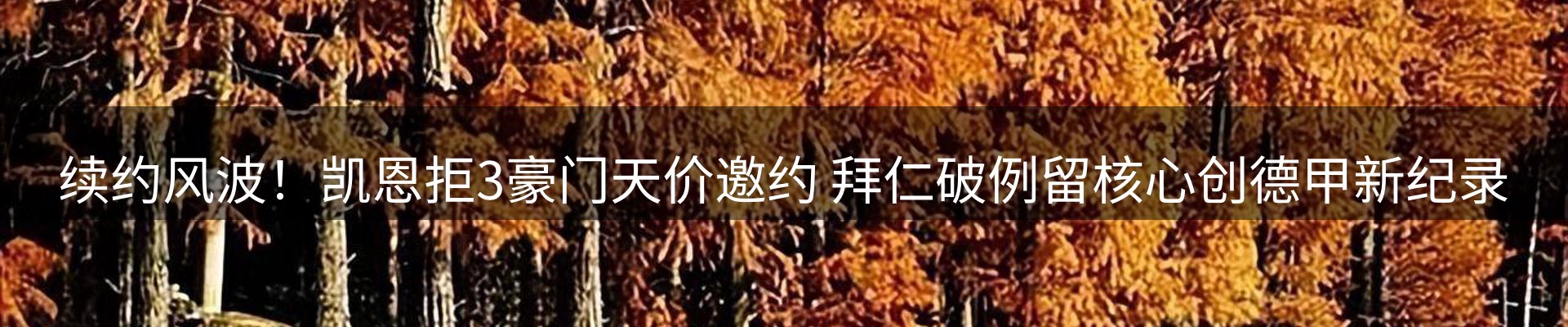 网站资讯