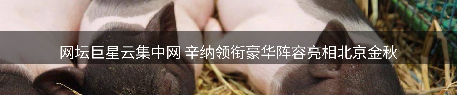 网站资讯