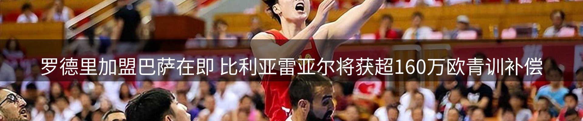 网站资讯