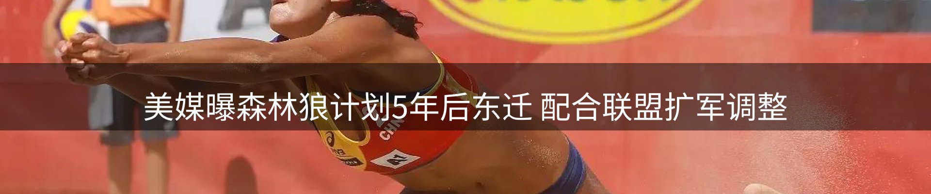 网站资讯