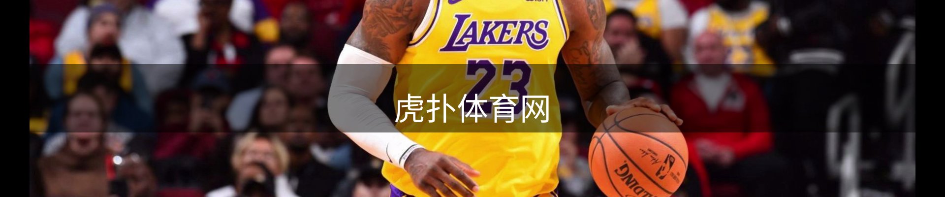网站资讯