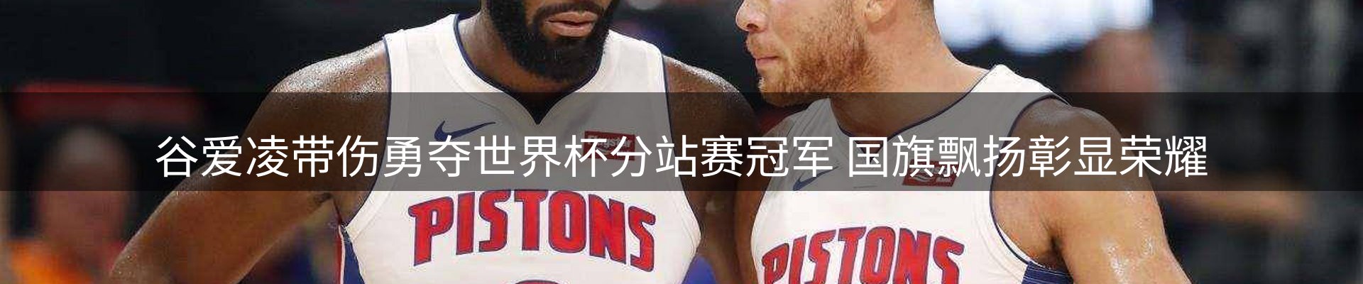 网站资讯