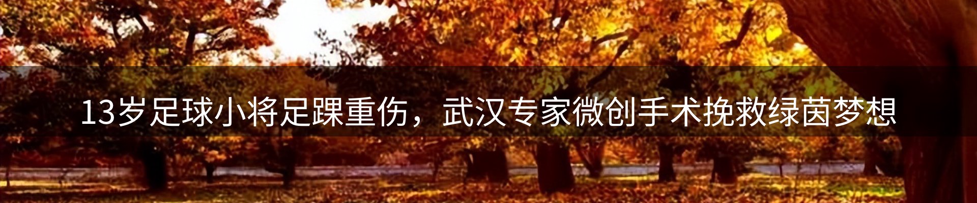 网站资讯