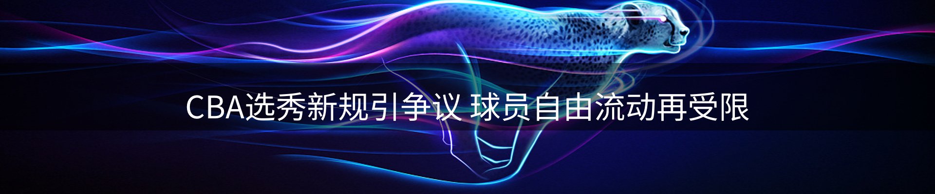 网站资讯